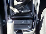 Škoda Scala Dynamic 1,0TSI 85kW - náhled 13