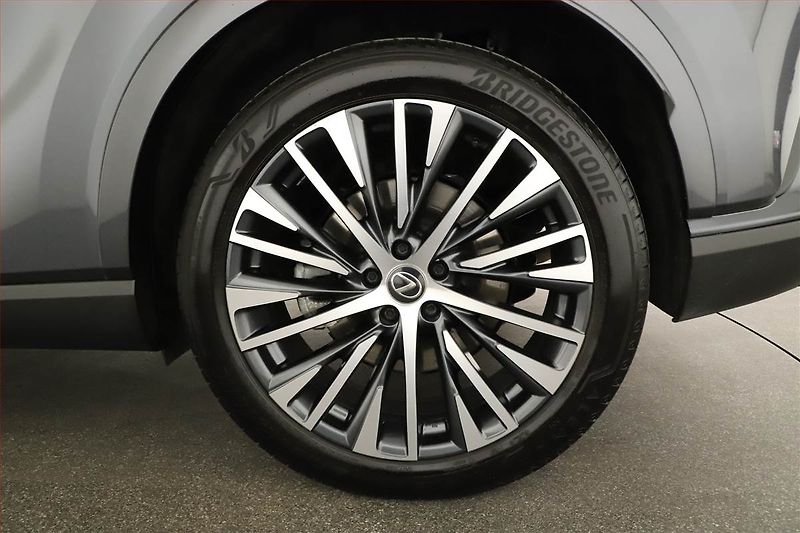 Lexus RX 400h (2023) 450h+ - fotka 20 z 20