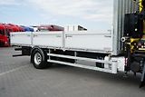 DAF LF (2015) / 250 / SKRZYNIOWY + HDS / HYV - náhled 29