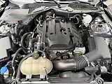 Ford Mustang (2021) 2.3 EcoBoost Manuál BMPR 2021  - náhled 25
