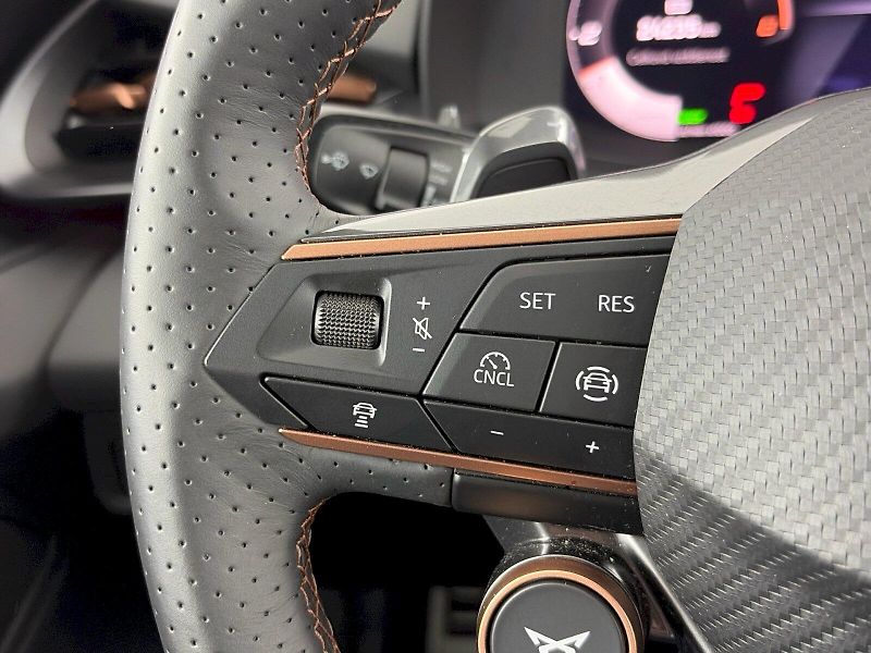 Cupra Terramar (2026) 1.5 TSI 110kW DSG - fotka 30 z 37