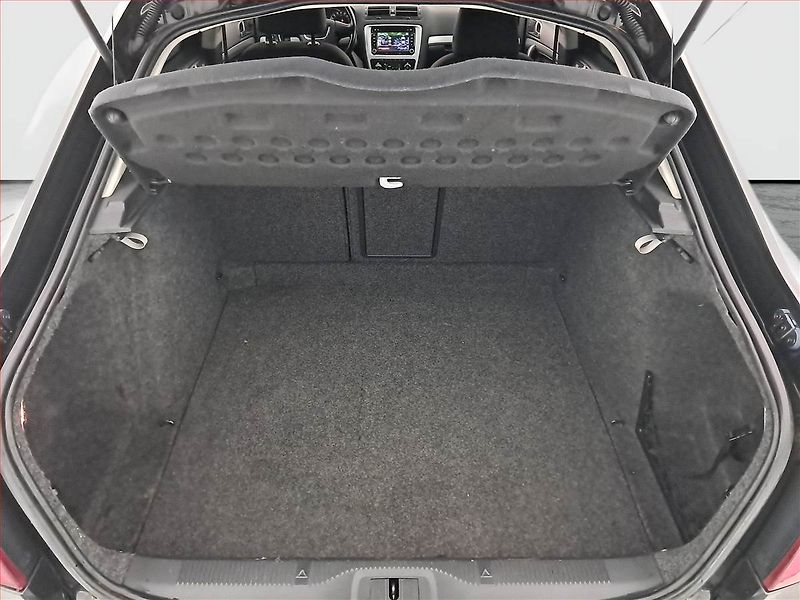 Škoda Octavia (2008) 1.9 TDI DPF, Tempomat - fotka 14 z 15
