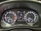 Škoda Fabia (2020) 1.0 TSI, Serv.kniha, Tempomat - náhled 11