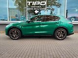Alfa Romeo Stelvio (2026) Intensa  4x4 2,0 280PS - náhled 6