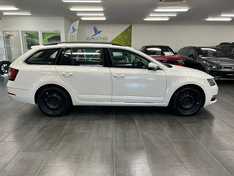 Škoda Octavia (2019) 1.5 CNG DSG Ambition 2019 | Zá - fotka 8 z 64