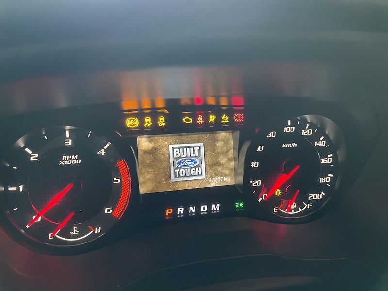 Ford Ostatní (2021) Raptor 2.0 Bi-Turbo EcoBlue 15 - fotka 30 z 30