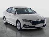Škoda Octavia (2022) Ambition 2.0 TDI - náhled 1