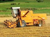 Kombajn Bizon Z-058 při práci na poli.