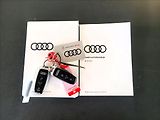 Audi e-tron 0,0 55,95KWH,4x4,SOH 91,6%,taž - náhled 49