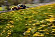 Oficiální fotogalerie z Rally Šumava a HVR 2019