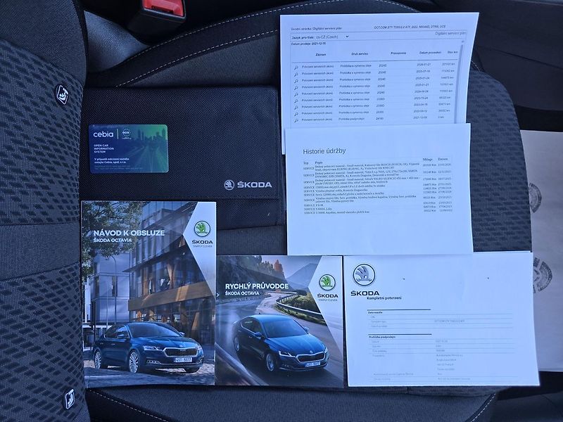 Škoda Octavia 2.0TDi DSG STYLE 1.Maj. ČR DPH - fotka 38 z 43
