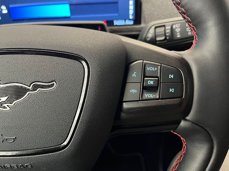 Ford Mustang Mach-E Standard Range AWD, SoH 93,1 % - fotka 28 z 53
