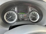 DAF LF (2014) 45.220 - SHRNOVAČKA - VRATA E6 - náhled 30