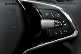 Škoda Octavia (2024) 2.0 TDI 110 kW Style - náhled 12