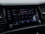 Škoda Kodiaq RS 2.0TDI 176kW 4x4 DSG CZ - náhled 53