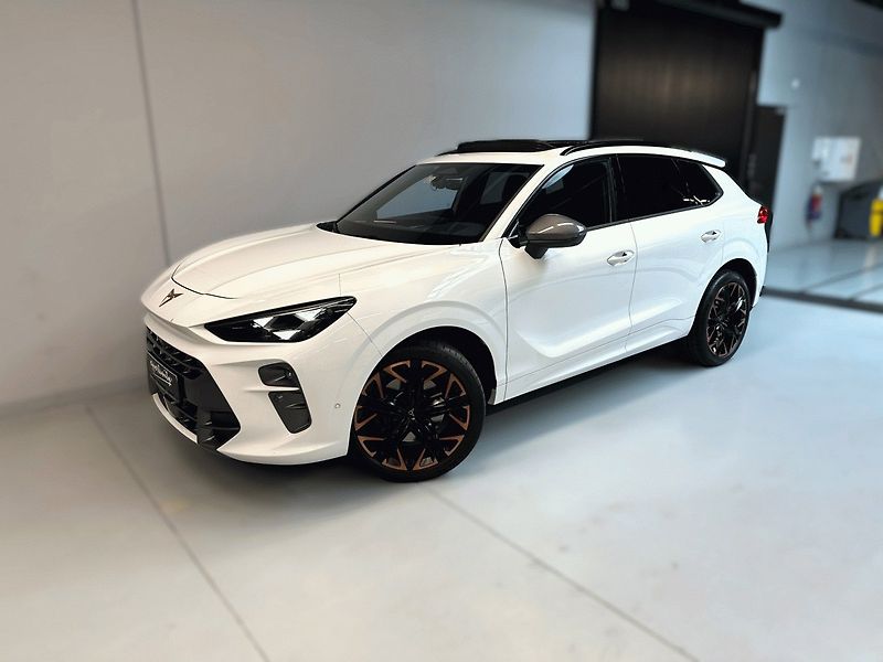 Cupra Terramar (2025) 2.0 TSI 265k 4WD DSG *HD MTRX* - fotka 1 z 25