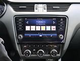 Škoda Octavia (2019) Ambition 1.6 TDI, Navi - náhled 12