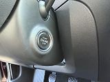 Škoda Octavia 2.0 TDi, 110kw, pano, taž. ČR - náhled 19