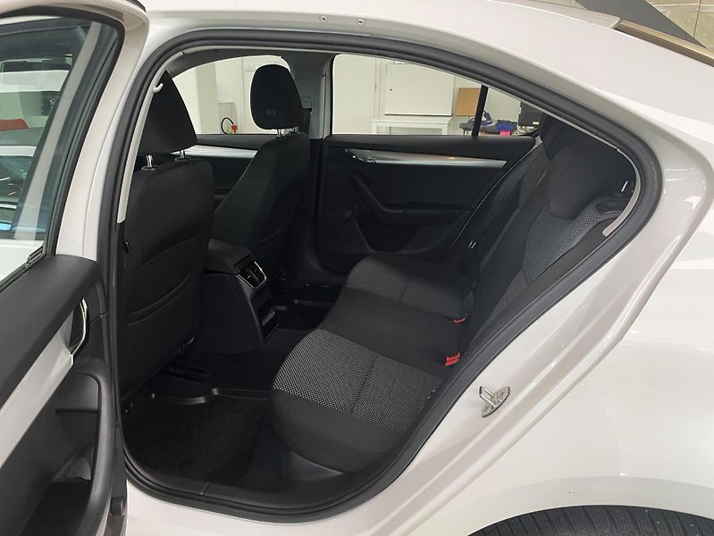 Škoda Octavia 1,6TDi Ambition, ČR - fotka 10 z 21
