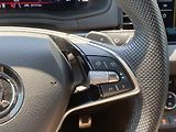 Škoda Karoq 2.0TSi, ČR, Sportline,DSG, 4x4 - náhled 17