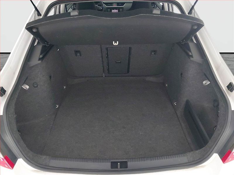 Škoda Octavia (2015) 2.0 TDI 4x4, 4X4, Xenony - fotka 14 z 19