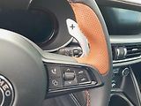 Alfa Romeo Stelvio (2026) Intensa  4x4 2,0 280PS - náhled 28