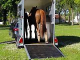 Cheval Liberté (2026) TOURING ONE černý,přední rampa - náhled 36