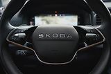 Škoda Karoq (2025) 1.5 TSI, Top Selection, ACC - náhled 16