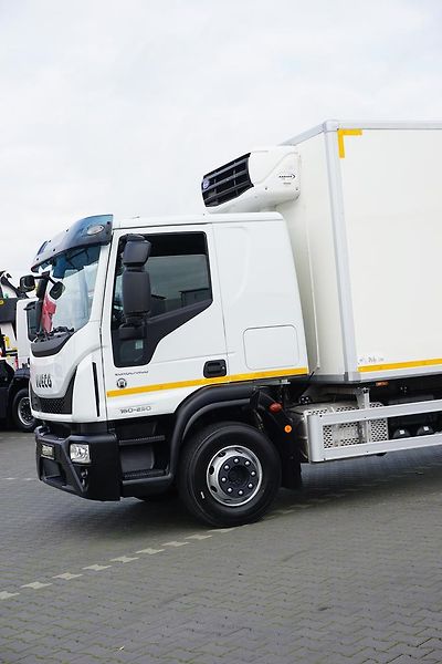 Iveco Eurocargo (2018) 160-250 / E 6 / CHŁODNIA + WIN - fotka 27 z 46