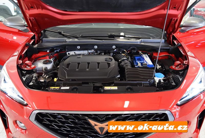 Cupra Formentor 2.0 TDI 4x4 DSG 33 000 KM - fotka 61 z 66