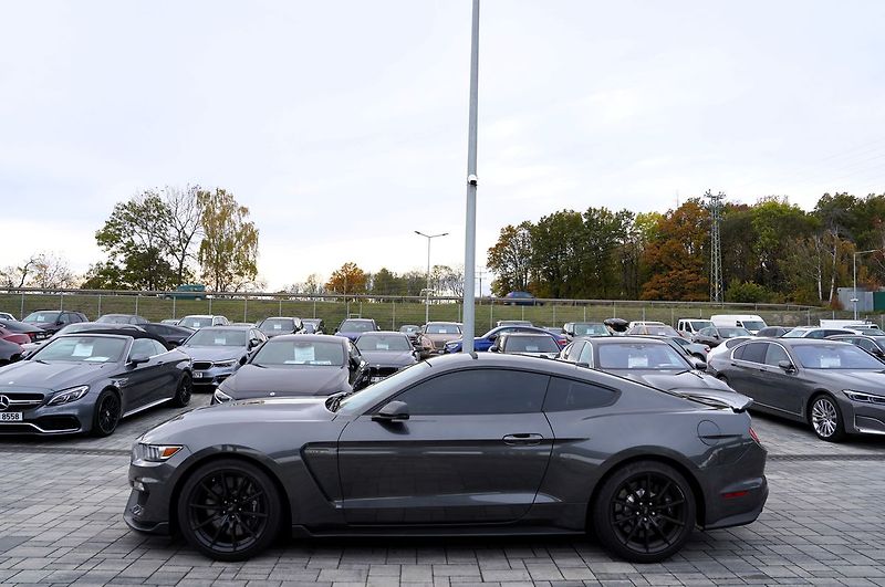 Ford Mustang (2018) Shelby GT350 5.2 Recaro,533 PS - fotka 3 z 41