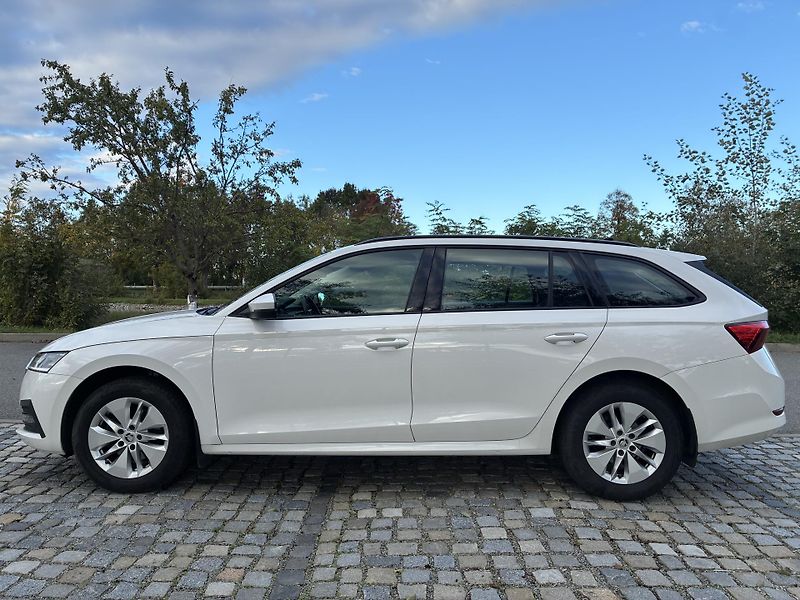 Škoda Octavia IV 2,0 TDI Ambition - fotka 6 z 15