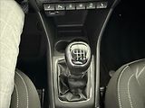 Škoda Rapid 1,0   TSI 81kW,CLEVER,SERVISKA - náhled 20