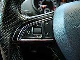Škoda Octavia (2014) 2.0 TDi, RS, navi, park.asist - náhled 16