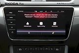 Škoda Superb (2023) 2.0 TDI 147 kW Scout - náhled 17