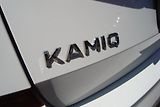 Škoda Kamiq (2020) Style 1.0 TSi,ČR,1Maj.S.Kniha - náhled 15