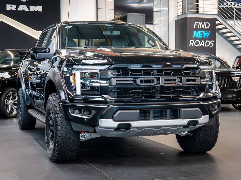 Ford F-150 (2025) 3.5 Raptor V6, FOX Racing 4x4 - fotka 9 z 43