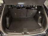 Ford Kuga (2023) 2.5 HYBRID,ST-LINE, - náhled 17
