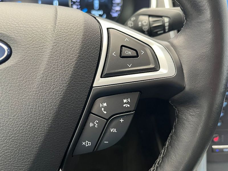 Ford Galaxy 2.0 EcoBlue Titanium 140 kW - fotka 11 z 50
