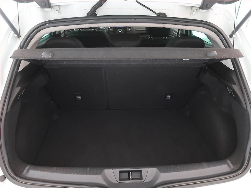 Renault Mégane (2017) 1.6 SCe, Tempomat - fotka 13 z 15
