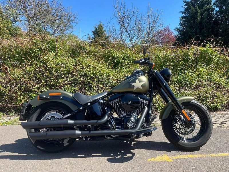 Harley-Davidson FLSS Softail Slim S (2016) - fotka 3 z 13