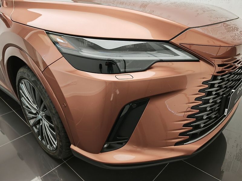 Lexus RX 450h plus RX 450h+ Luxury - fotka 8 z 50