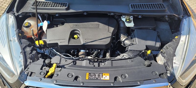 Ford Kuga (2017) 2,0TDCi 132kW DSG 4×4 Vignale  - fotka 50 z 52