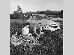 Škoda 445.
