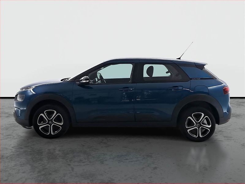 Citroën C4 Cactus (2020) 1.2 PureTech, Serv.kniha, Navi - fotka 3 z 16