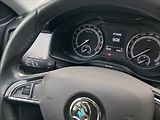 Škoda Kodiaq 2,0 TDI 4x4 AMBITION 1. maj- - náhled 18