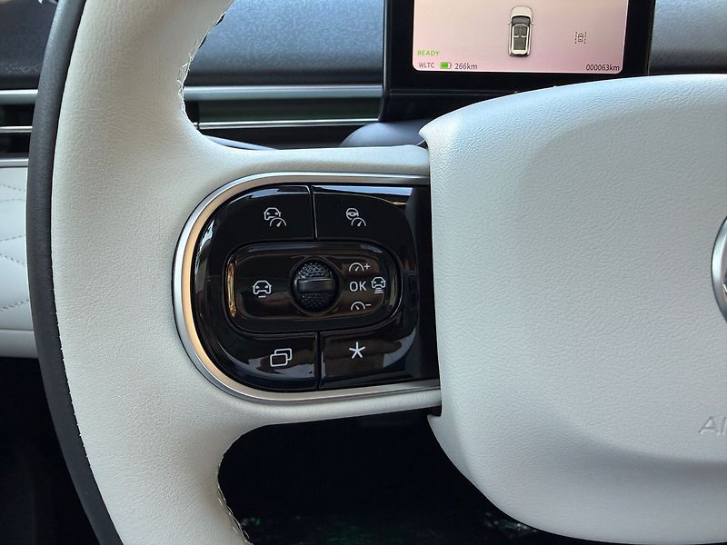 Dongfeng Ostatní E3 360° kamera 42 kWh - fotka 29 z 39