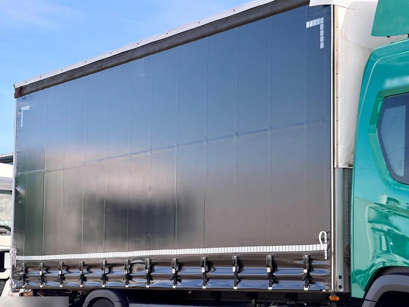 Scania (2019) P 250 shrnovačka EURO 6 - fotka 12 z 18