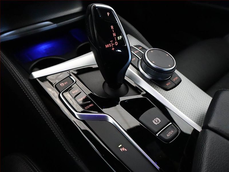 BMW Řada 5 (2019) M Sport 530d xDrive - fotka 11 z 19