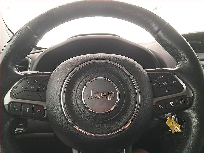 Jeep Renegade (2019) Limited 1.3 T-GDI, Automat - fotka 17 z 23